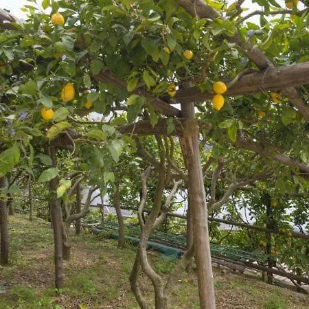 בית נופש Tovere Sleeps 2 Wifi T786336 קונקה דיי מריני